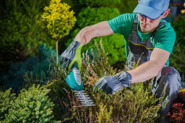 landscaping services Sugar Creek